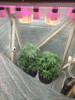 Изображение WhatsApp 2025-09-08 в 20.53.29_b5bc4917.jpg