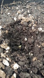 WhatsApp Image 2025-09-09 at 19.09.56 (1).jpeg