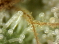 Photo_2025-09-10 06_38_33_315.png