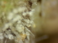 Photo_2025-09-10 06_41_59_667.png