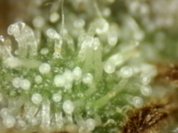 Photo_2025-09-10 06_43_33_419.png