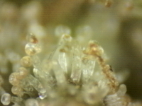 Photo_2025-09-10 06_44_44_695.png