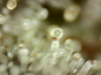 Photo_2025-09-10 06_46_14_461.png