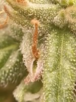 61 дн 2 месяца (3).jpg