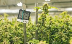 pravilnaya-temperatura__DzHSpYusKVYNPdUW.jpg pravilnaya-temperatura__DzHSpYusKVYNPdUW.jpg