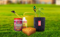 Kak-podkarmlivat-kannabis-na-kokose__kEb1Vtg3FQZioSB8.jpg Kak-podkarmlivat-kannabis-na-kokose__kEb1Vtg3FQZioSB8.jpg