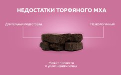 Nedostatki-torfyanogo-mha__IG5NHoUgWRapB5Mr.jpg Nedostatki-torfyanogo-mha__IG5NHoUgWRapB5Mr.jpg
