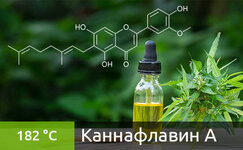 kannaflavin-a__mTbuvt29Q98SOHYr.jpg