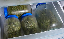 temperatura__fS1QuJA9Xzrv2FZ3.jpg temperatura__fS1QuJA9Xzrv2FZ3.jpg