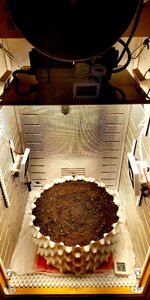 P50925-094140 (1)(1).jpg