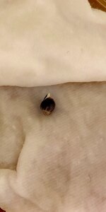 P50924-194055 (1)(1).jpg