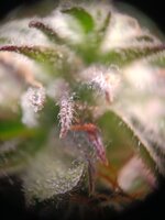 IMG20251004093409.jpg IMG20251004093409.jpg