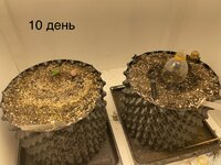 IMG_0426.jpeg IMG_0426.jpeg