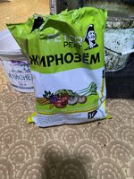 IMG_1025.jpeg IMG_1025.jpeg