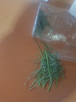 20220517_182945_optimized.jpg 20220517_182945_optimized.jpg