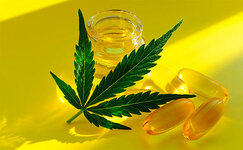 sativa.jpg sativa.jpg