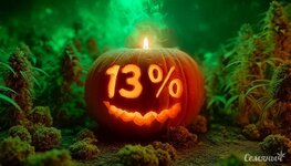 hellouin-2025__LHctzcR79hesnwAO.jpg hellouin-2025__LHctzcR79hesnwAO.jpg