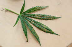 1762541842093.png 1762541842093.png