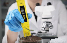 1762541782035.png 1762541782035.png