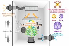бокс воздух.jpeg