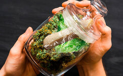 pomestite-istochnik-vlagi-v-germetichnyj-kontejner__jvrQAIMGKvv0Dk0O.jpg pomestite-istochnik-vlagi-v-germetichnyj-kontejner__jvrQAIMGKvv0Dk0O.jpg