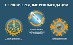 Pervoocherednye-rekomendacii__DQ7o5UCYbUNjGzH2.jpg Pervoocherednye-rekomendacii__DQ7o5UCYbUNjGzH2.jpg
