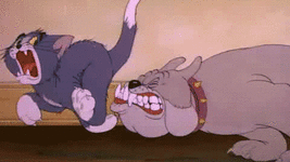 tom-and-jerry312.gif tom-and-jerry312.gif