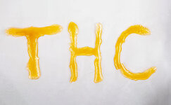 nalichie-kannabinoidov__dKtRYB4hFeGsvkJC.jpg