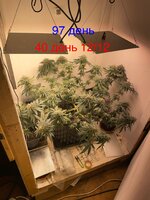 Сказки из тумбы для врослых детин! 3.0