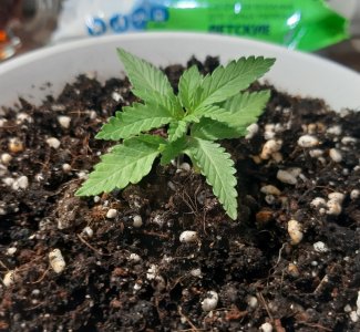 20220524_122621.jpg 20220524_122621.jpg