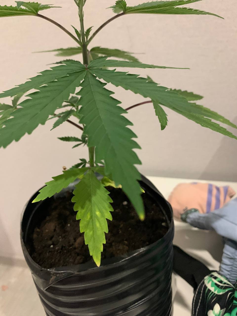 photo_2022-05-26_21-35-05 (2).jpg