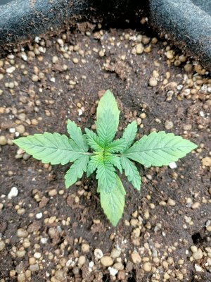 WhatsApp Image 2022-05-31 at 07.42.07.jpeg