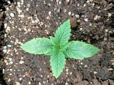 WhatsApp Image 2022-05-31 at 08.07.04.jpeg