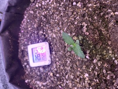 9C514F14-7FBA-42D8-AA7B-99D2C43324DD.jpeg 9C514F14-7FBA-42D8-AA7B-99D2C43324DD.jpeg