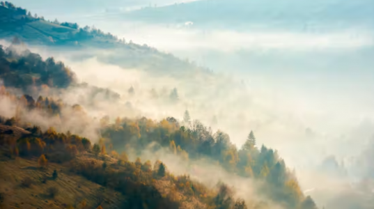 1654152915921.png 1654152915921.png