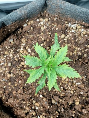 WhatsApp Image 2022-06-03 at 02.00.38 (3).jpeg