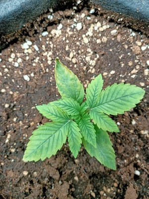 WhatsApp Image 2022-06-03 at 02.00.38.jpeg