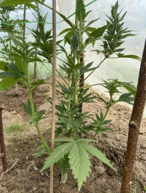 8.06.22 6.jpeg 8.06.22 6.jpeg