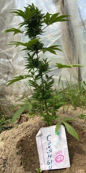 8.06.22.jpeg 8.06.22.jpeg