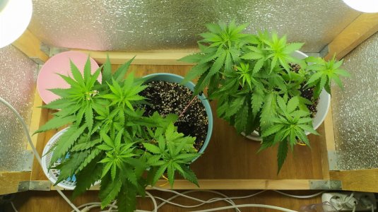 photo_2022-06-11_02-09-22 (2).jpg photo_2022-06-11_02-09-22 (2).jpg