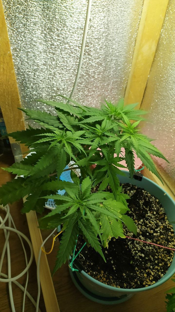 photo_2022-06-11_02-09-22.jpg photo_2022-06-11_02-09-22.jpg