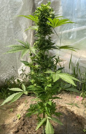 13.06.22 5.jpeg 13.06.22 5.jpeg