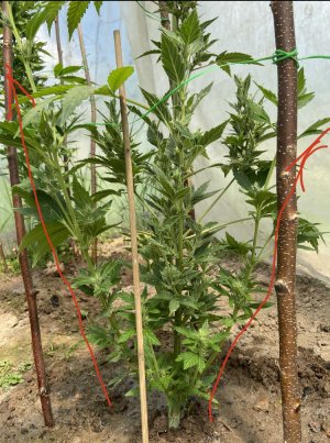 13.06.22 3.jpeg 13.06.22 3.jpeg