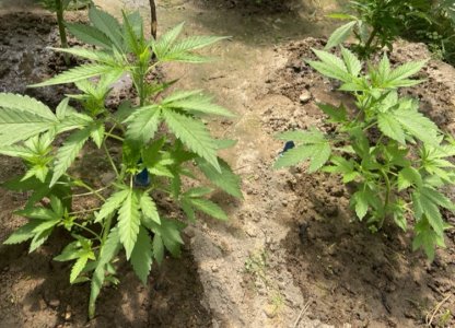 13.06.22 4.jpeg 13.06.22 4.jpeg