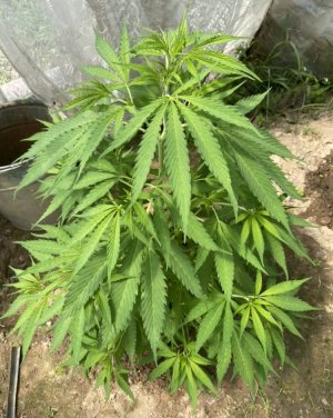 13.06.22 7.jpeg 13.06.22 7.jpeg