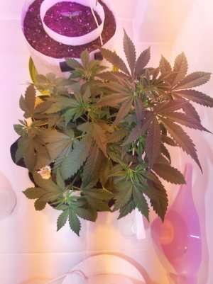 20220615_000414.jpg 20220615_000414.jpg