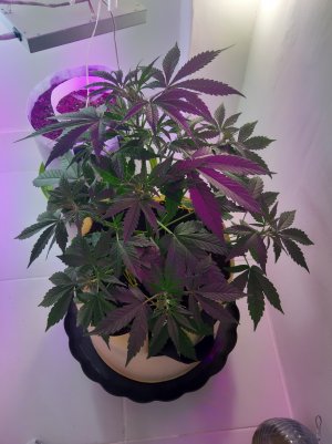 20220615_002455.jpg 20220615_002455.jpg