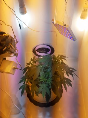 20220615_094739.jpg 20220615_094739.jpg