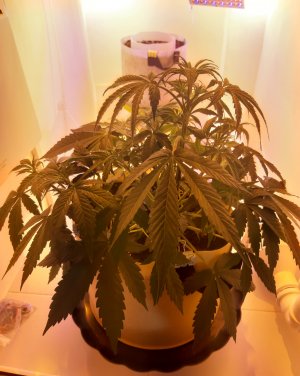 20220615_162607.jpg 20220615_162607.jpg