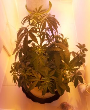 20220615_173818.jpg 20220615_173818.jpg